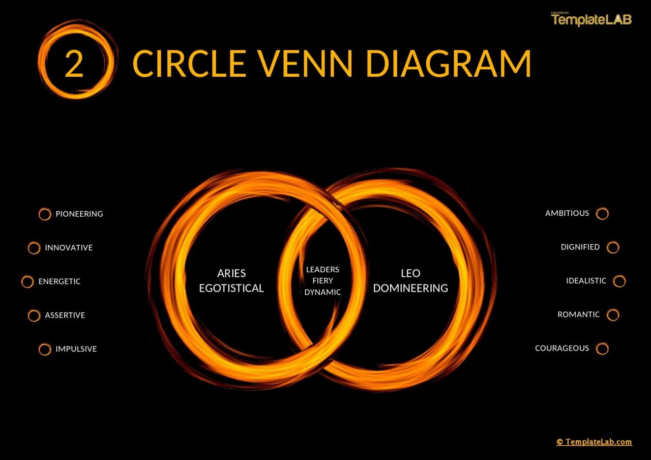 Modèle gratuit de diagramme de Venn à 2 cercles 03