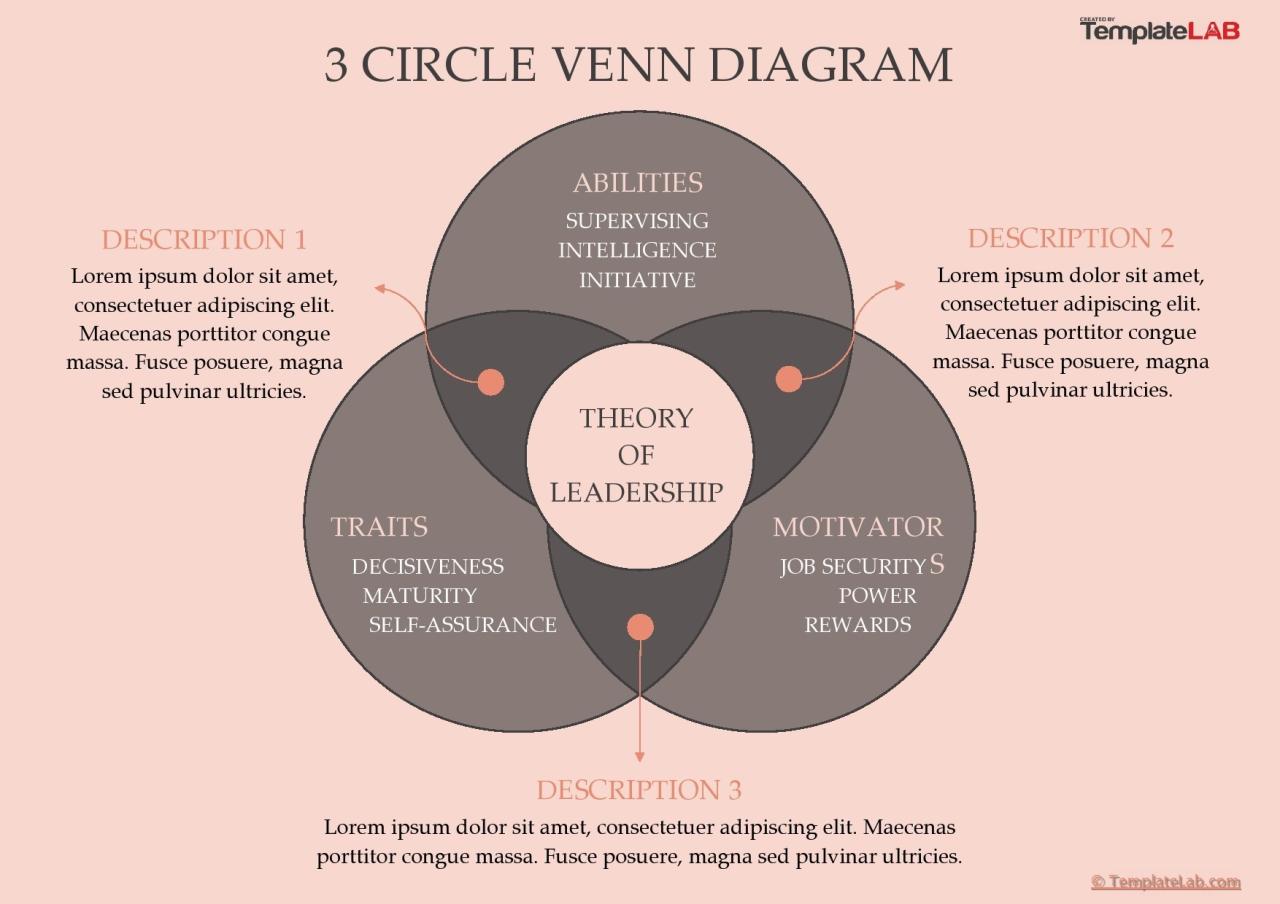 Modèle gratuit de diagramme de Venn à 3 cercles 03