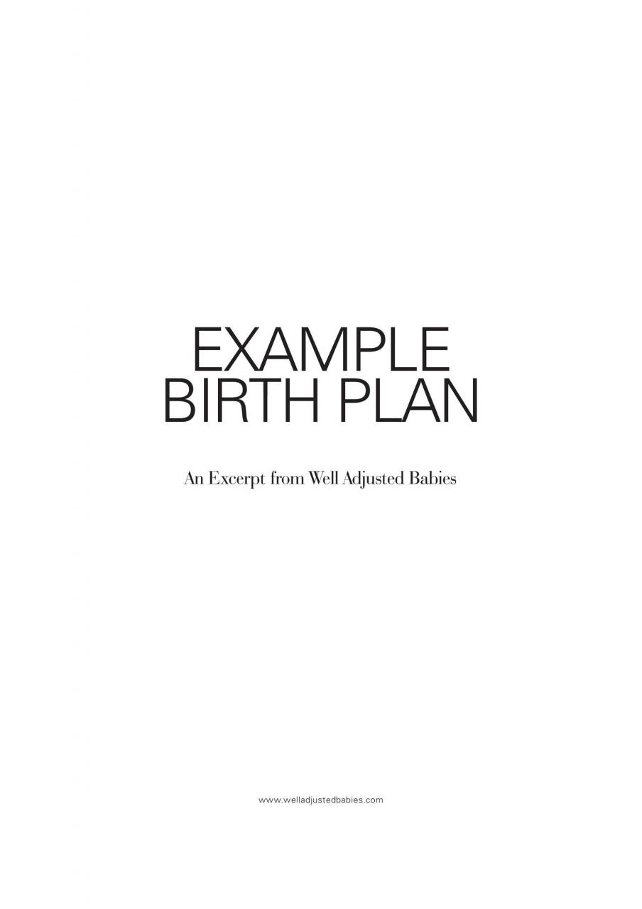 Modèle de plan de naissance gratuit 39
