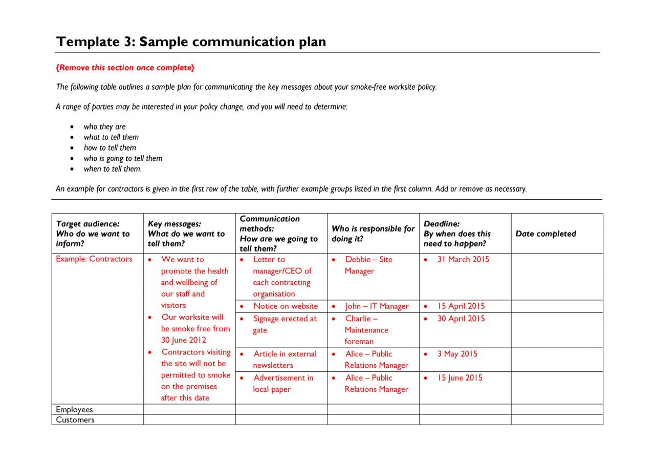 Modèle de plan de communication gratuit 30