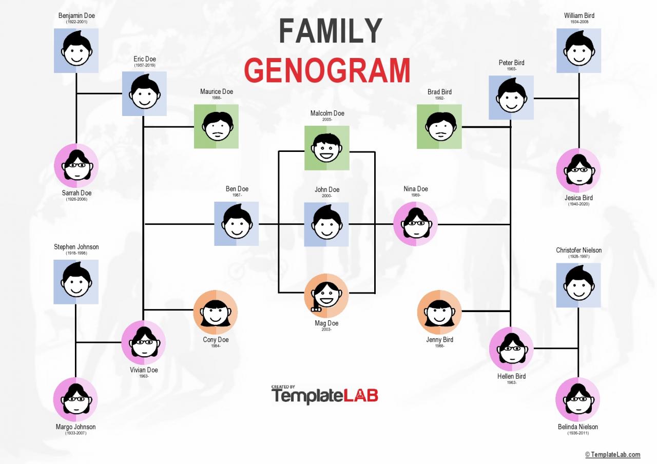 Modèle de génogramme familial gratuit V2