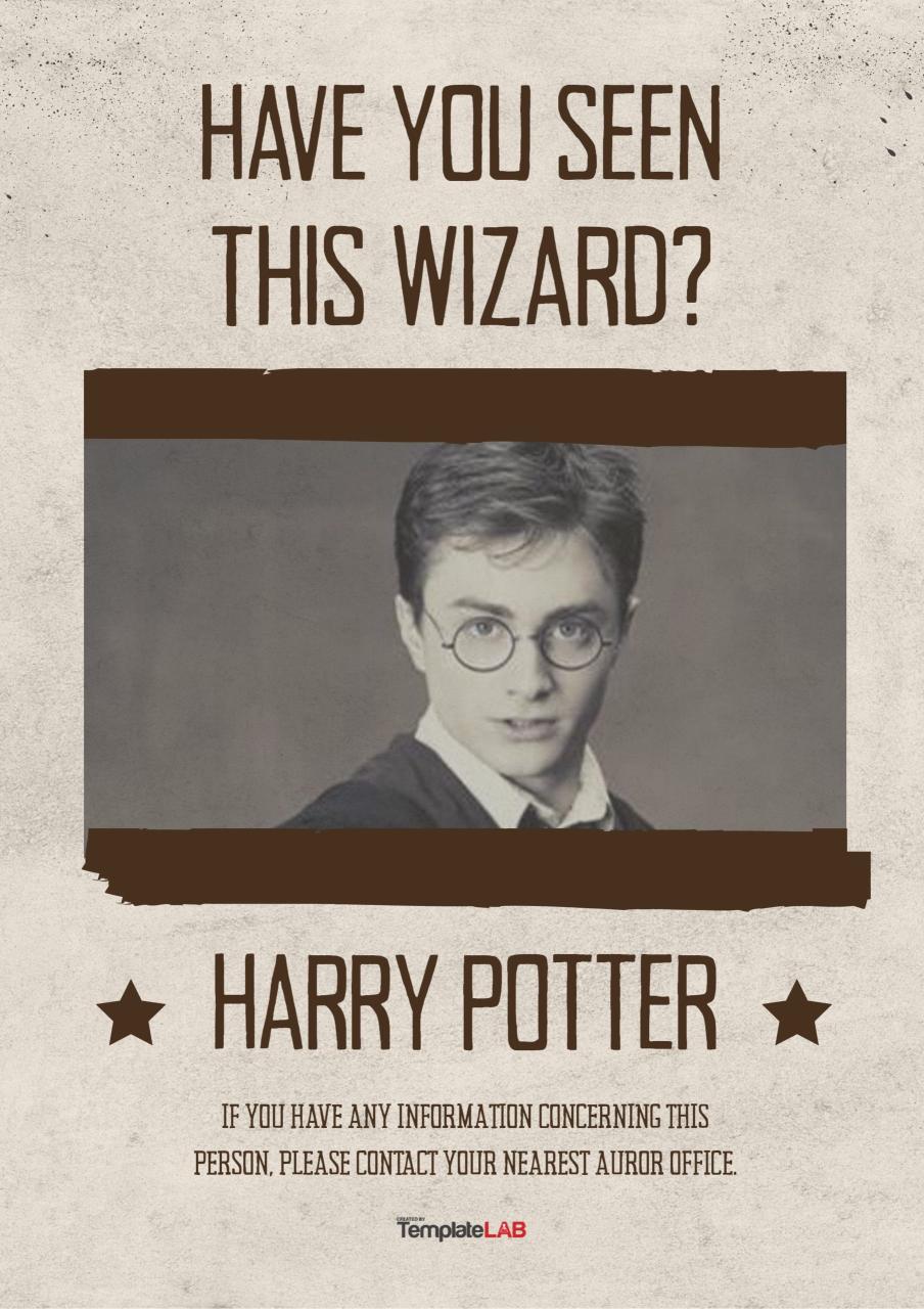 Modèle d'affiche de recherche Harry Potter gratuit