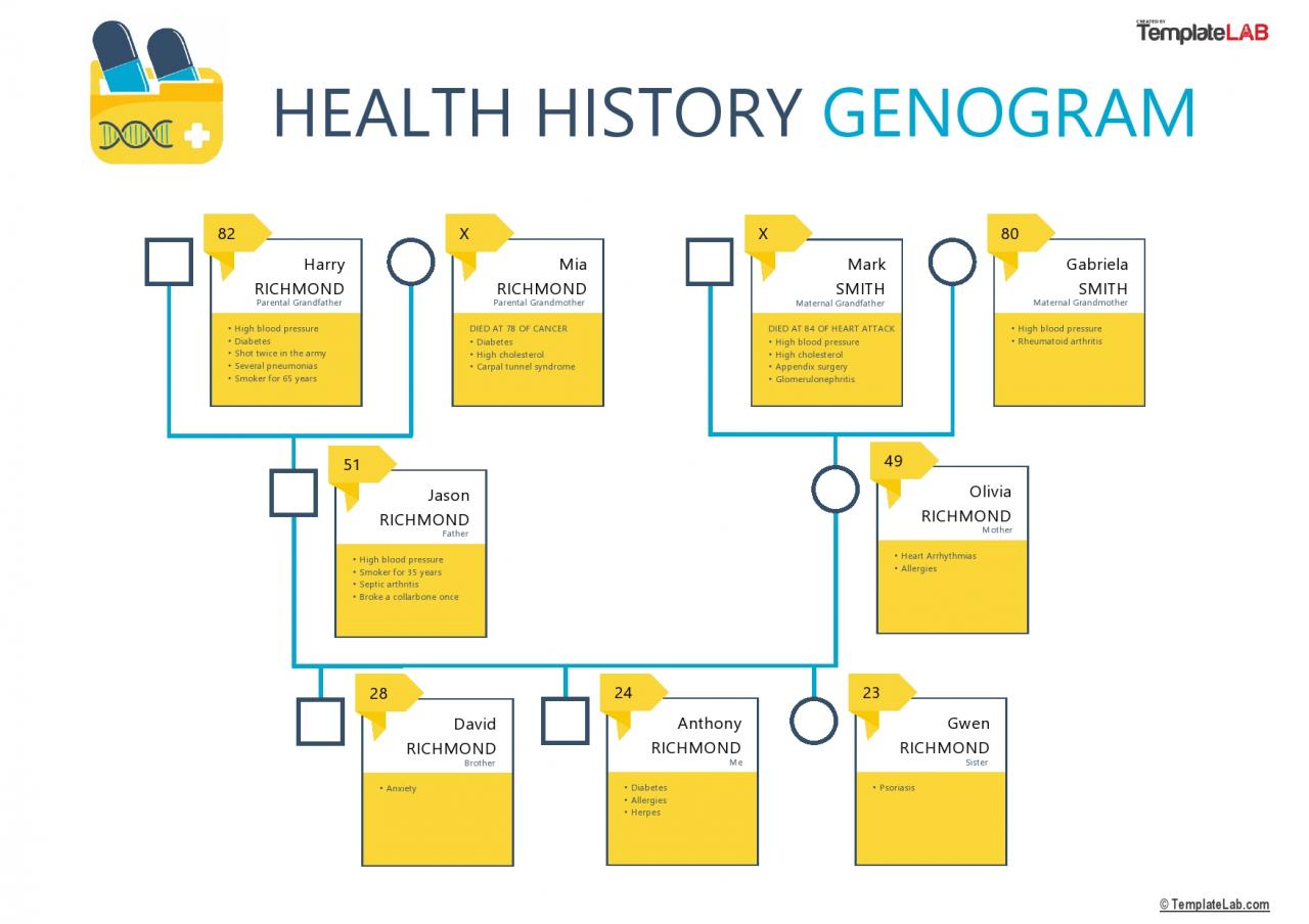 Modèle gratuit de génogramme d'historique de santé V2