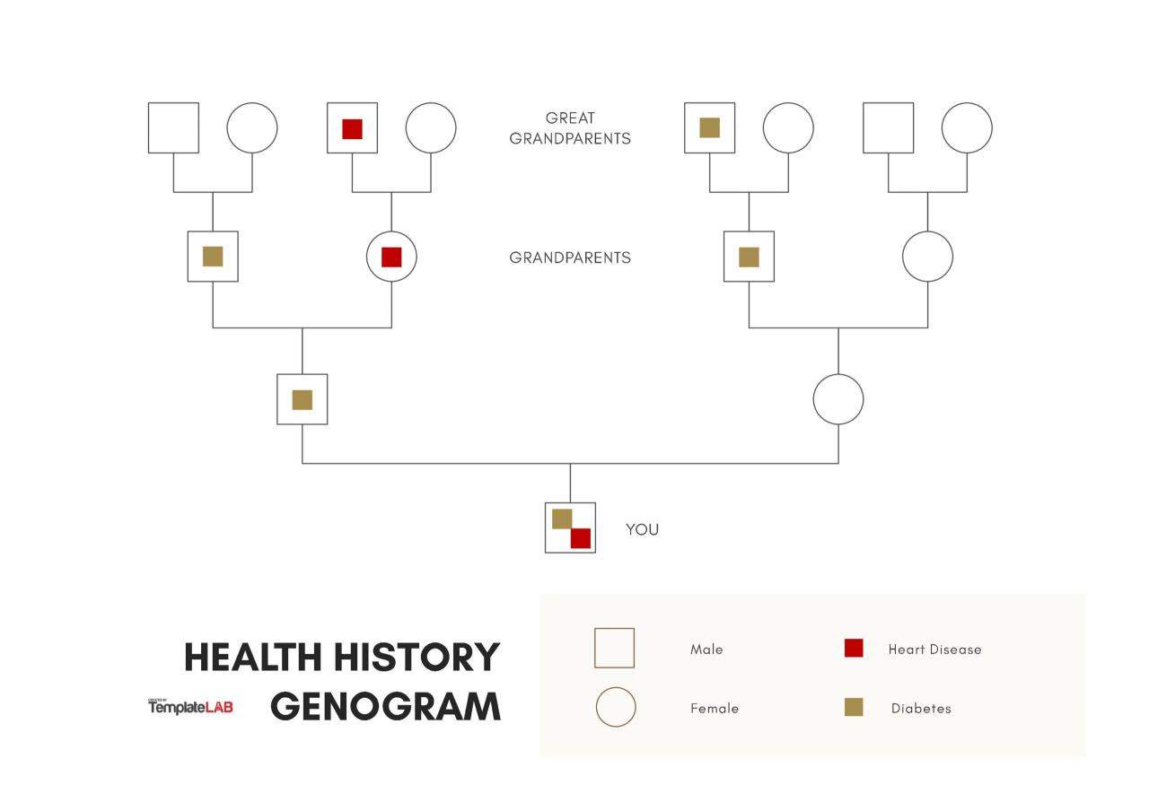 Modèle gratuit de génogramme d'historique de santé