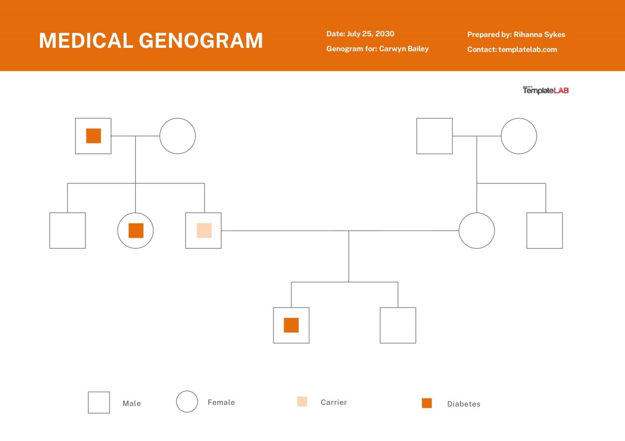 Modèle de génogramme médical gratuit