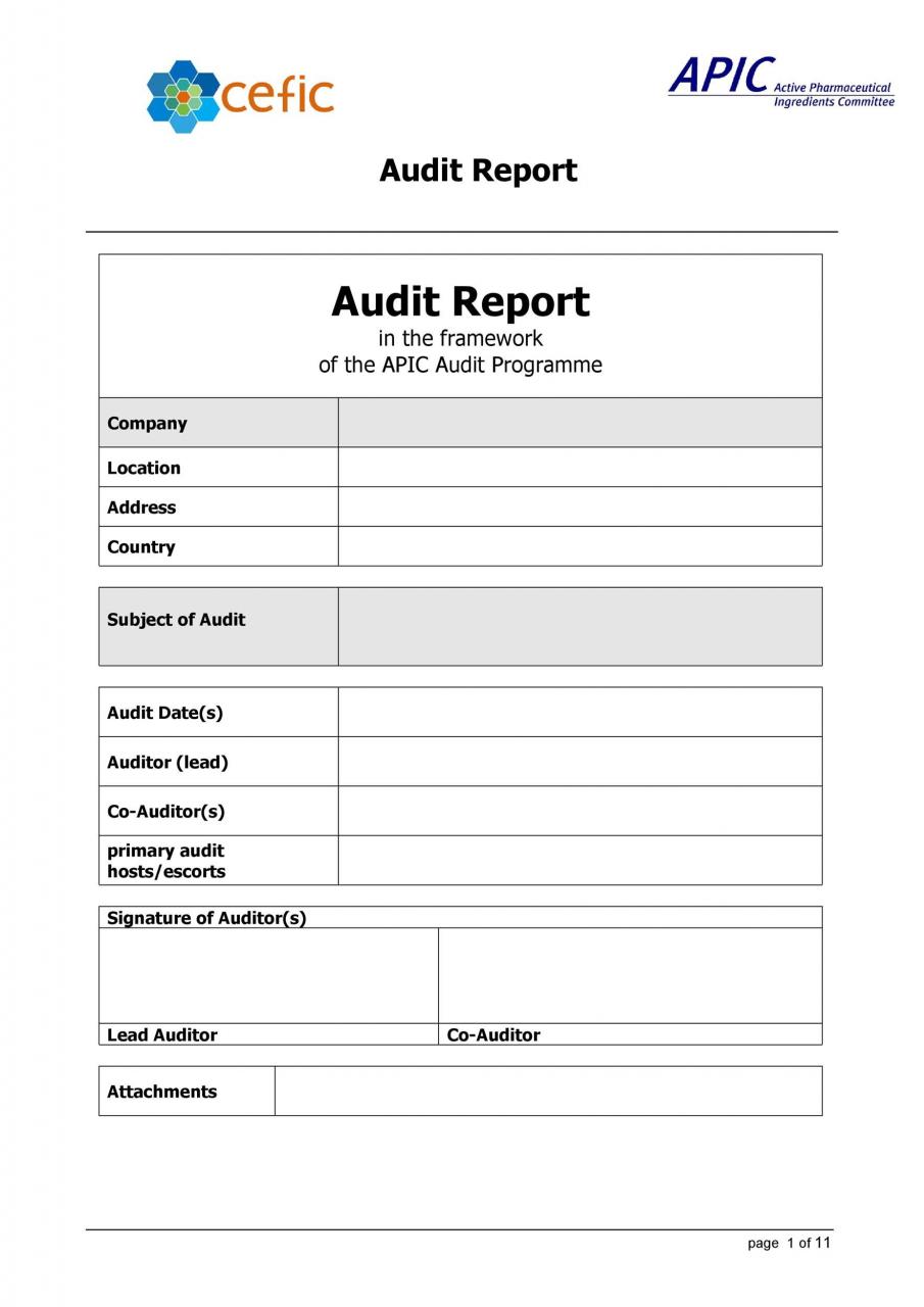 Modèle de rapport d'audit gratuit 20