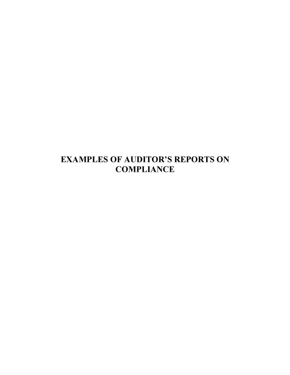 Modèle de rapport d'audit gratuit 26