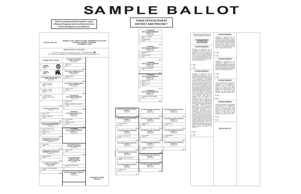 modèle de bulletin de vote gratuit 31