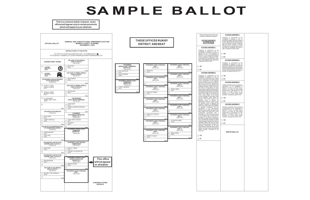 modèle de bulletin de vote gratuit 35