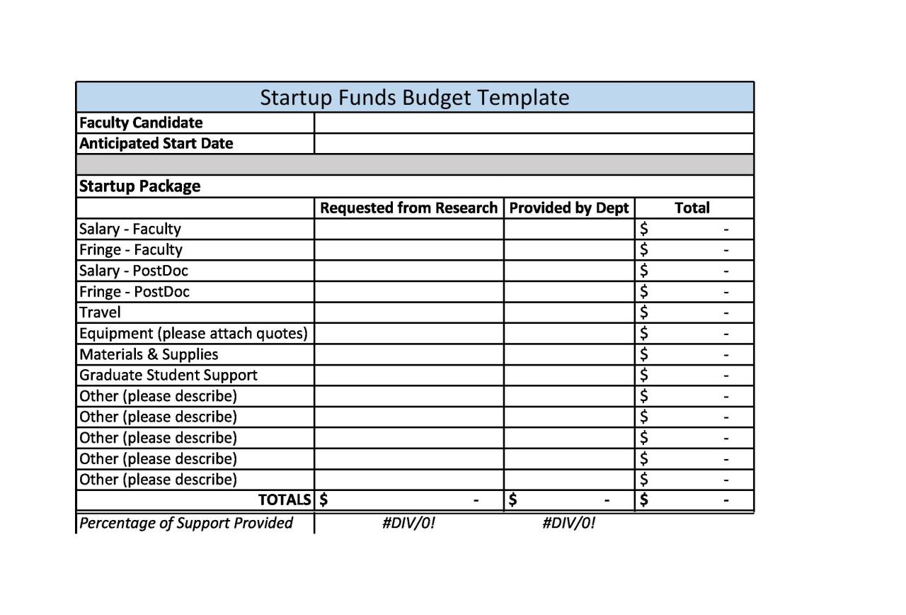 Modèle de budget de démarrage gratuit 14